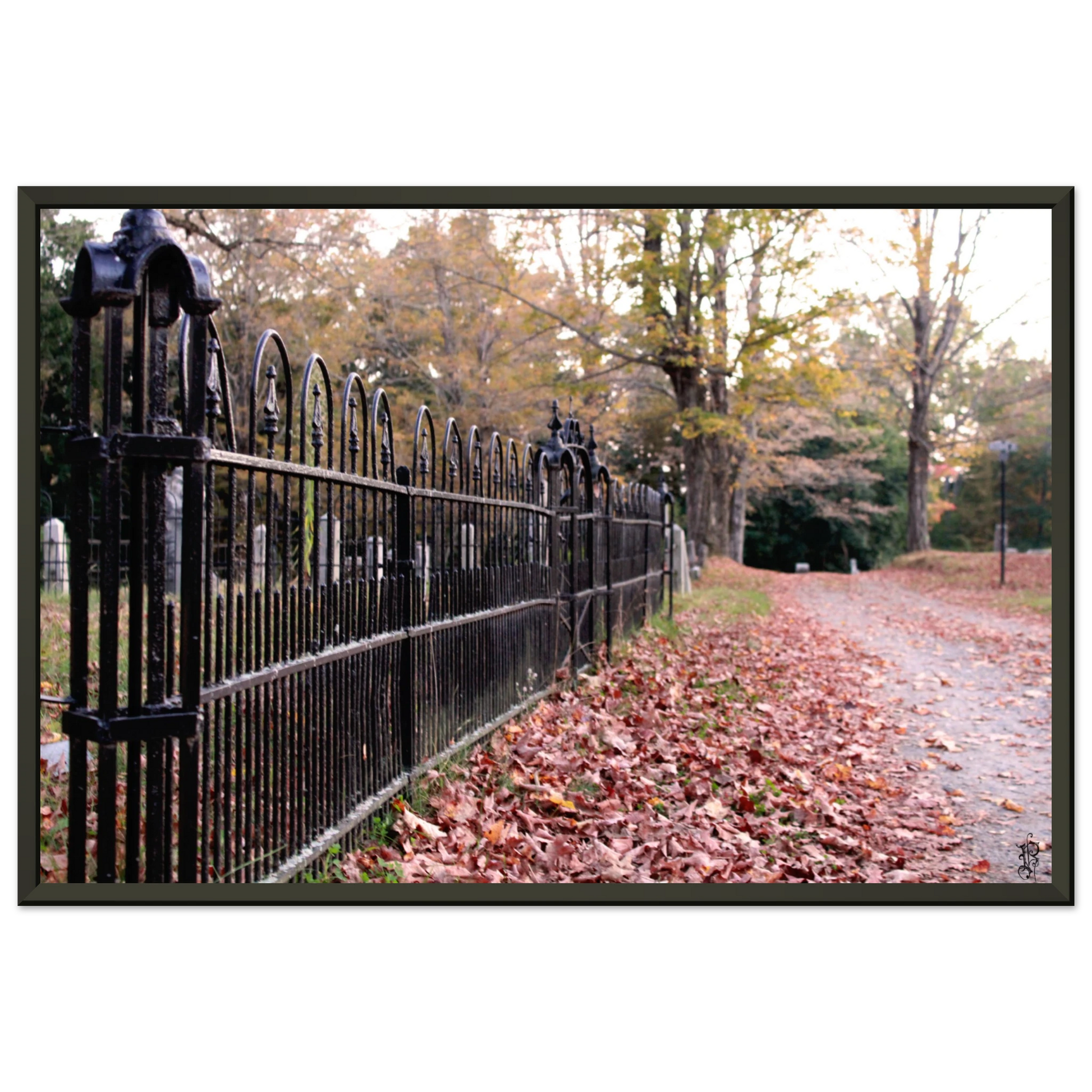 c10fb38b-d108-4159-bda7-863da310d6a6