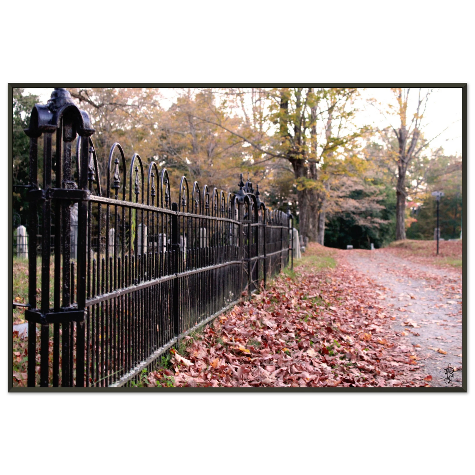 c3106ca7-70bc-4339-80d9-5d3a8f4e0597