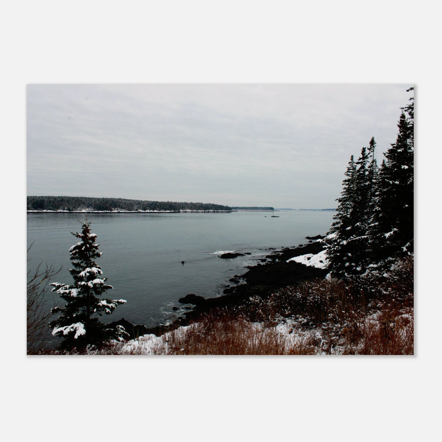 c3c942a0-3ffd-43f6-bca8-75666d02e2a6