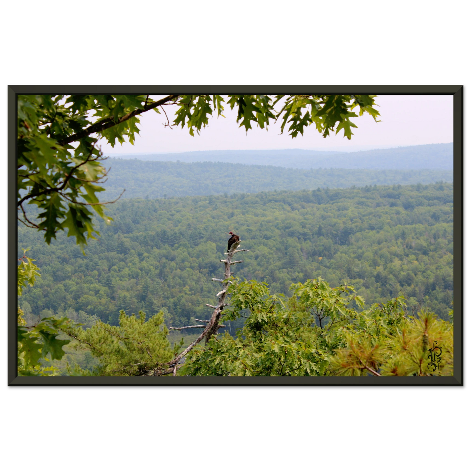 c5886130-a0e8-4f93-9814-74c87d4b8bc6