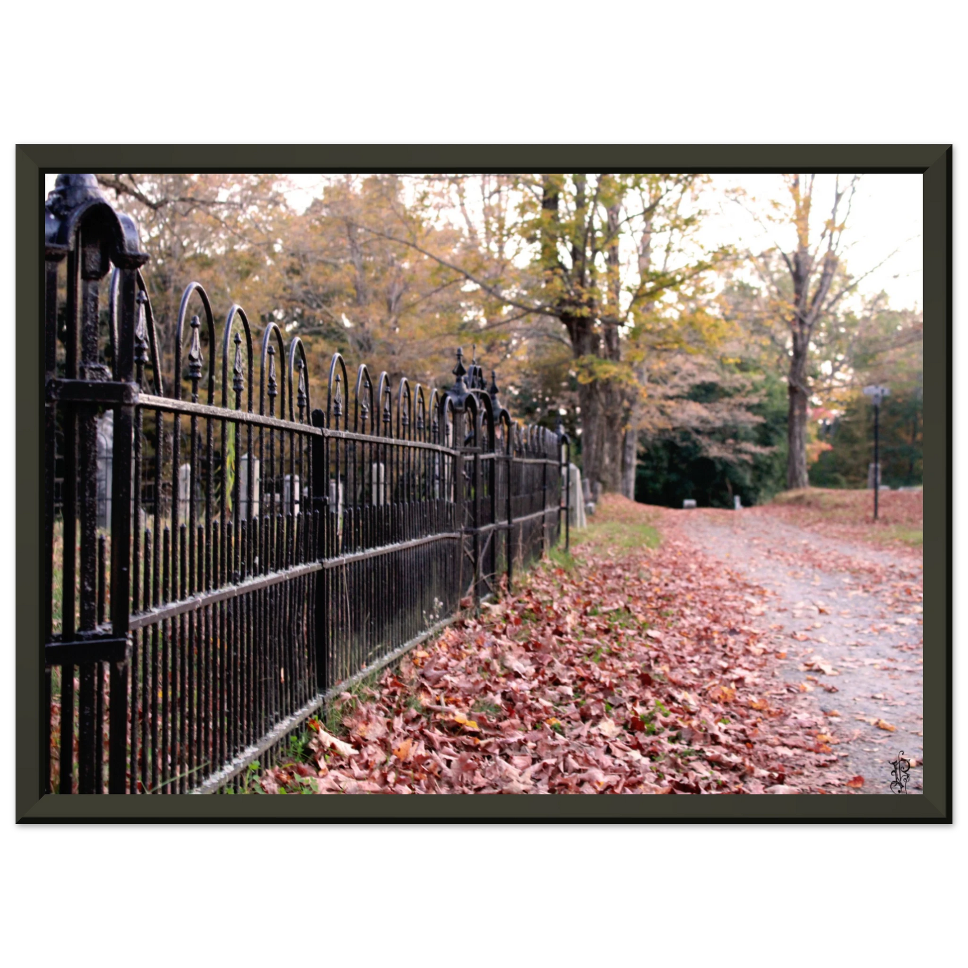 ccdaa9d9-20b4-4c29-ab92-30fd46eb5cc0