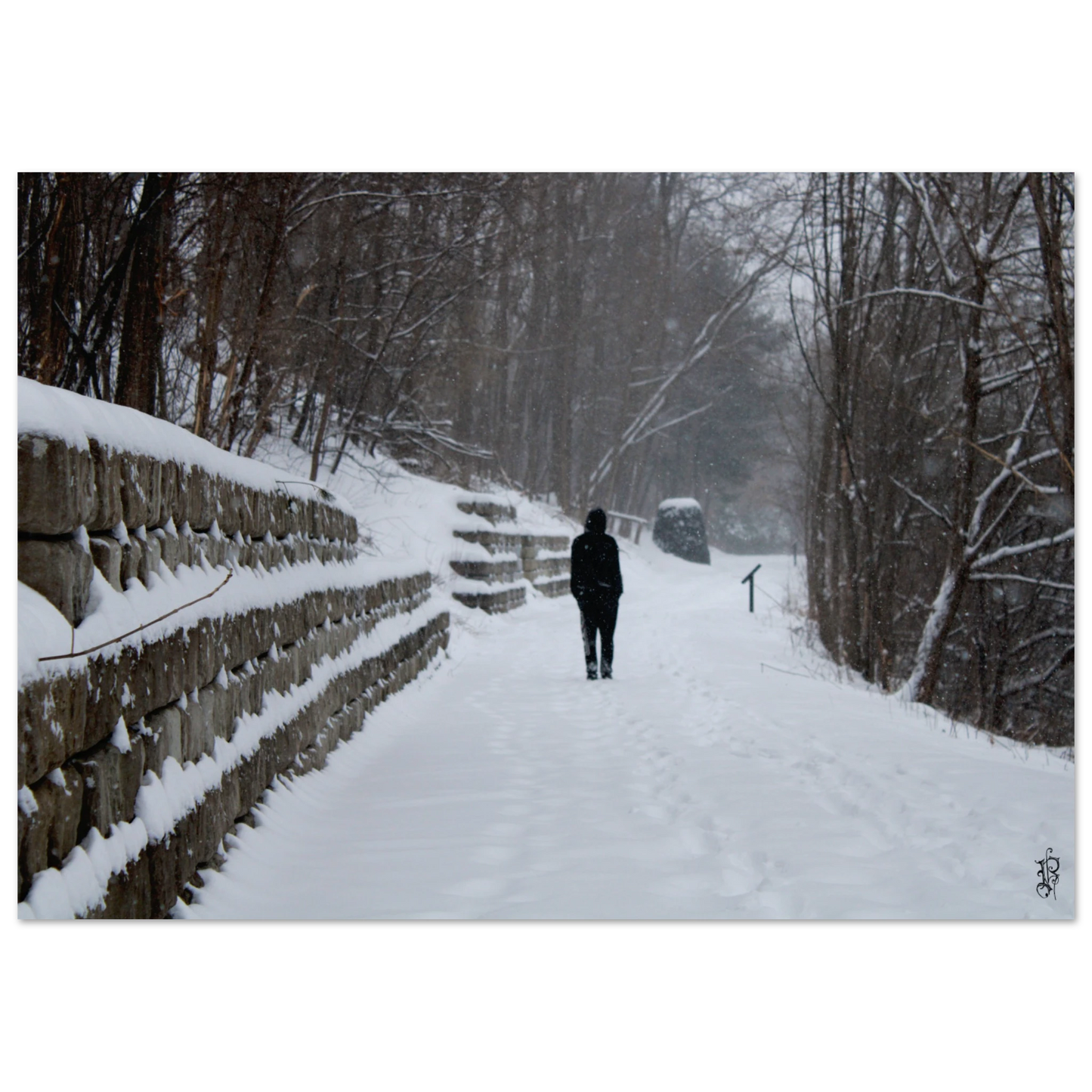 cdf93730-c9dd-4f29-8b0c-a48e681643cf