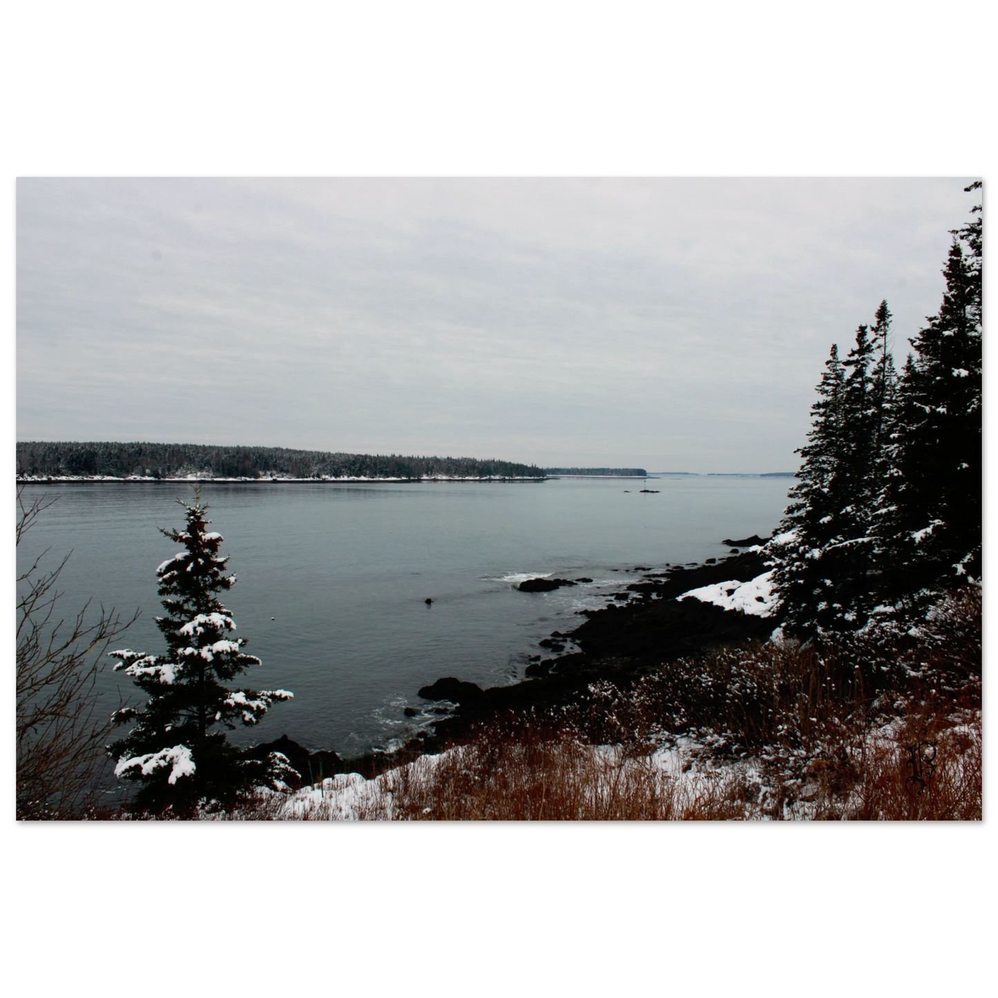 d08b4ade-5559-429c-8b26-c1b43f3a12f6