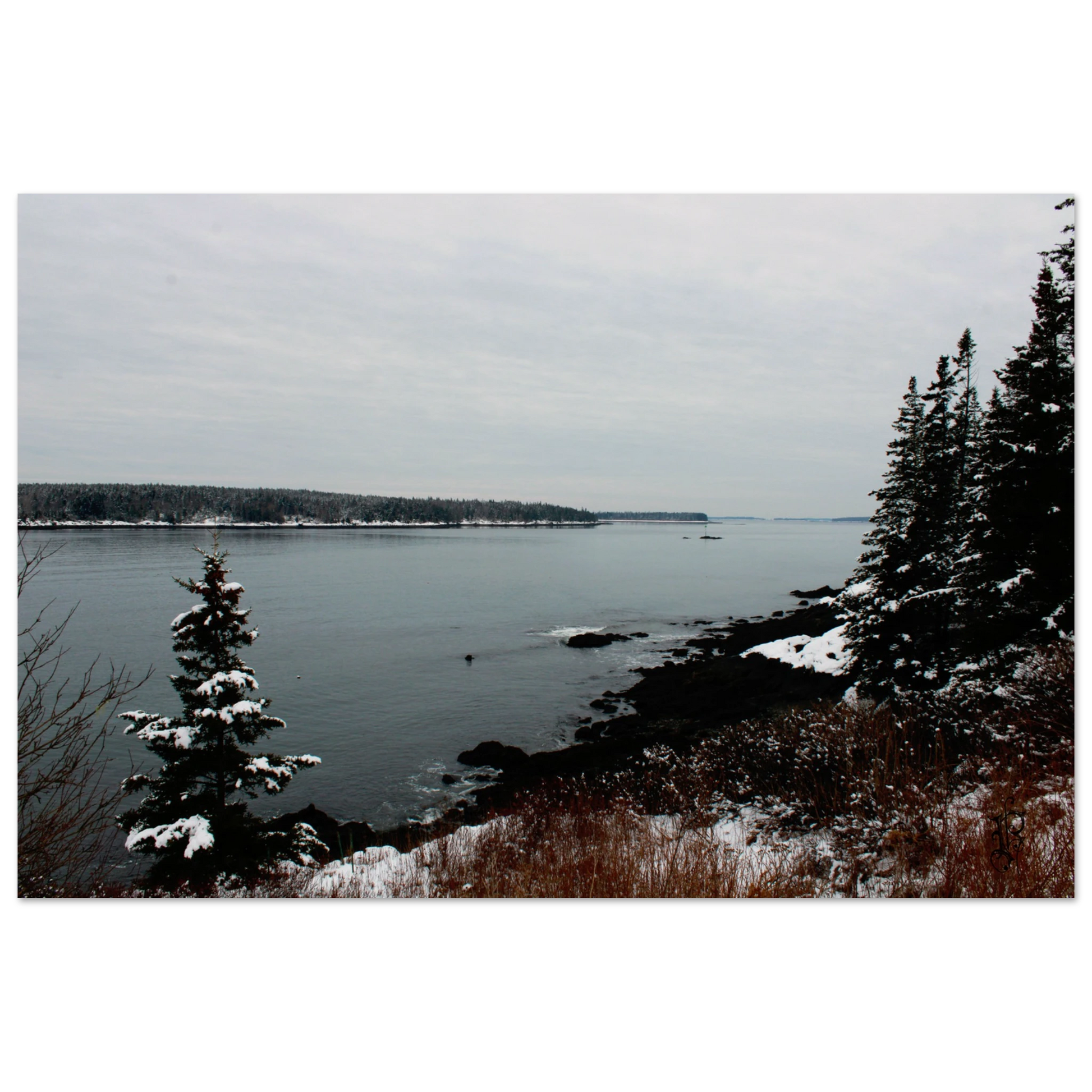 d08b4ade-5559-429c-8b26-c1b43f3a12f6