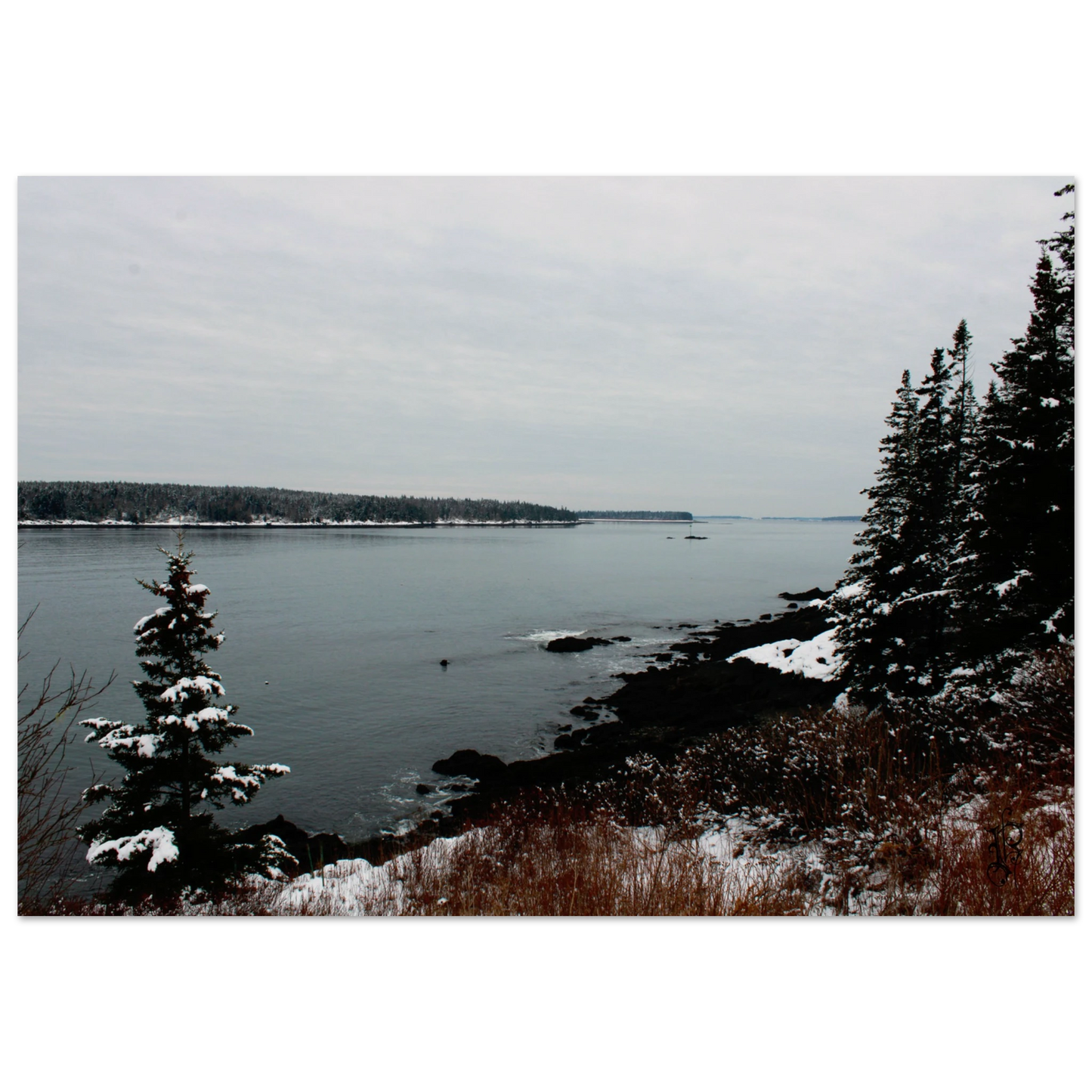 d2dcfc89-7f49-4d0c-acf7-67bf1fda288a