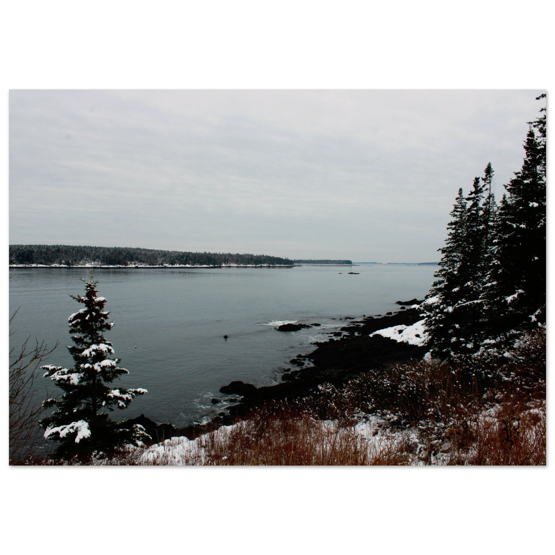 d2dcfc89-7f49-4d0c-acf7-67bf1fda288a