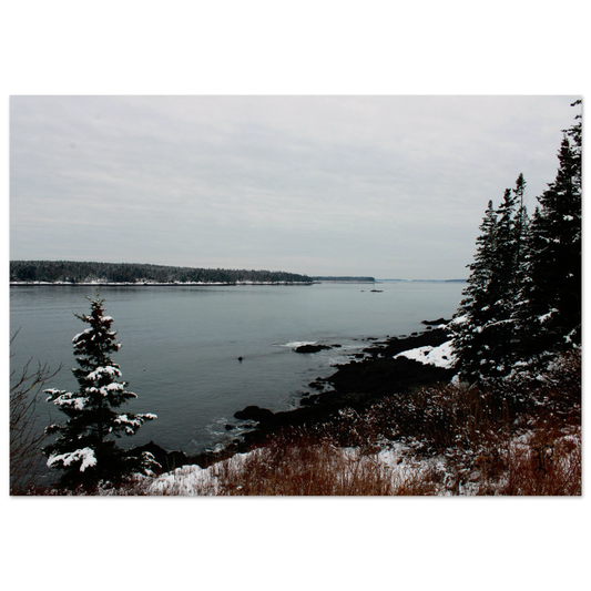 d2dcfc89-7f49-4d0c-acf7-67bf1fda288a