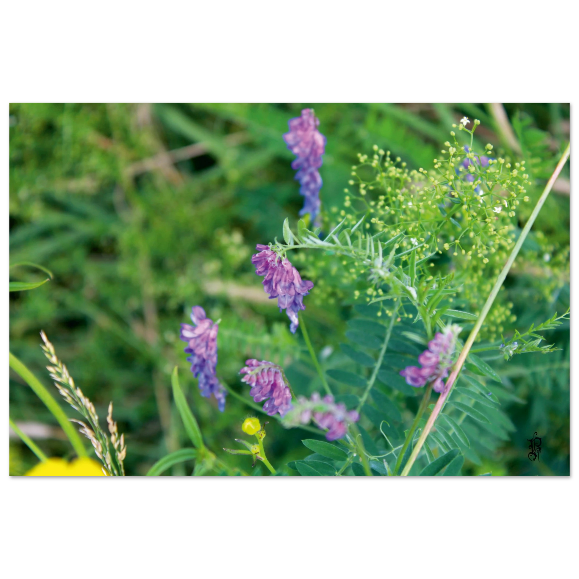 d2fc9268-0f75-4bb0-a284-e53a10a0689d