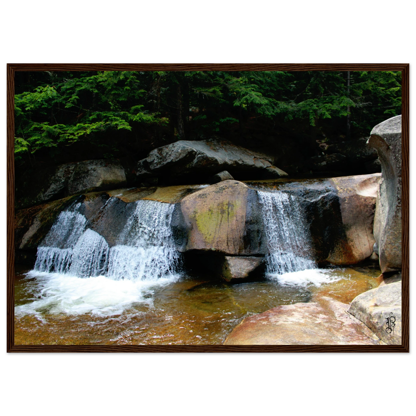 d8bc5363-2c95-4dcd-b50a-dcc4ca5b912f