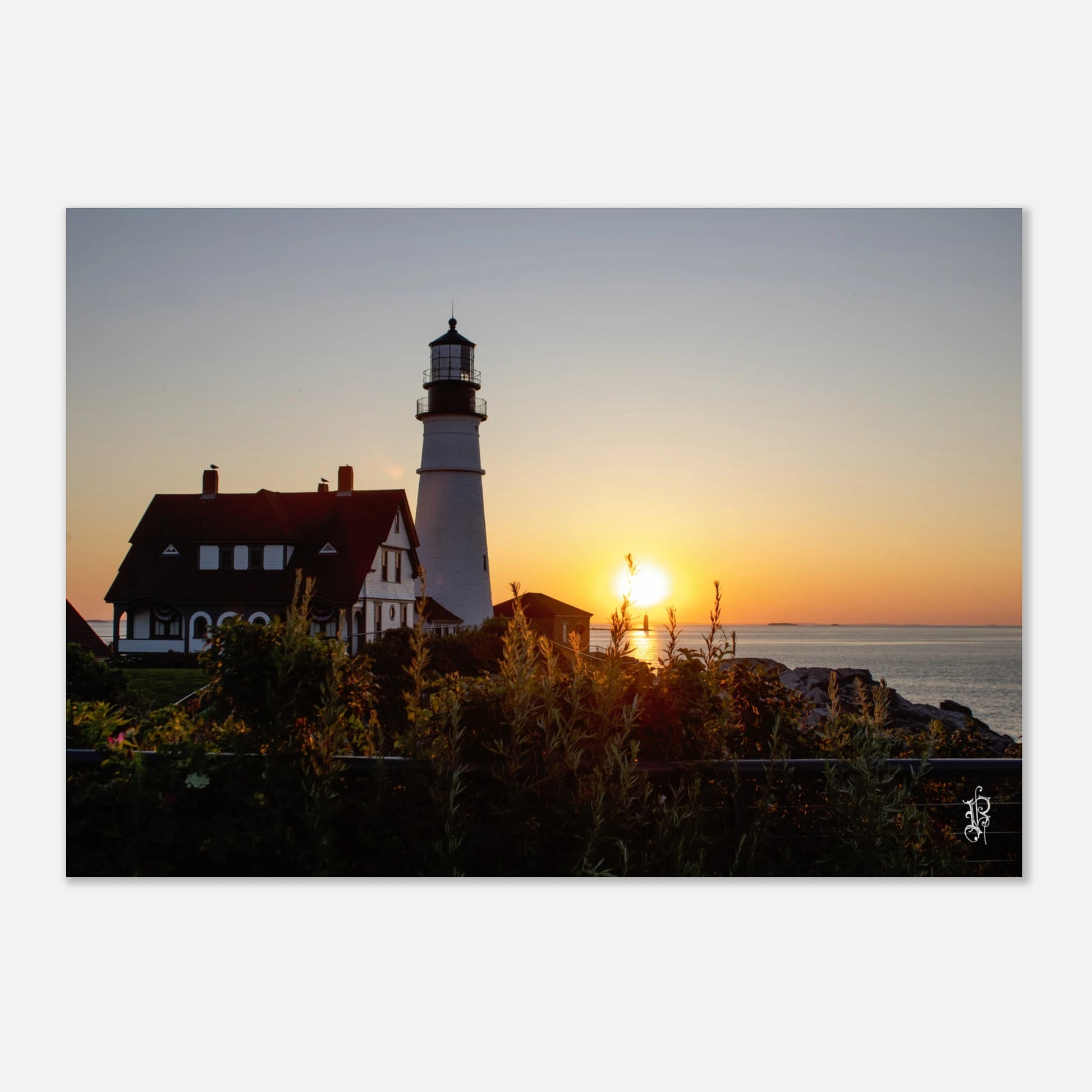 dc7d0778-2300-4478-96a2-69ad7d96034b