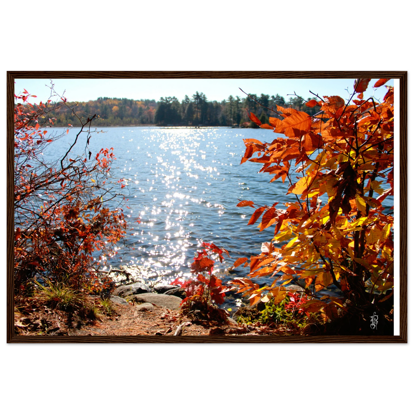 dd5bfabf-bd44-4eb5-8603-e9283f43ce72