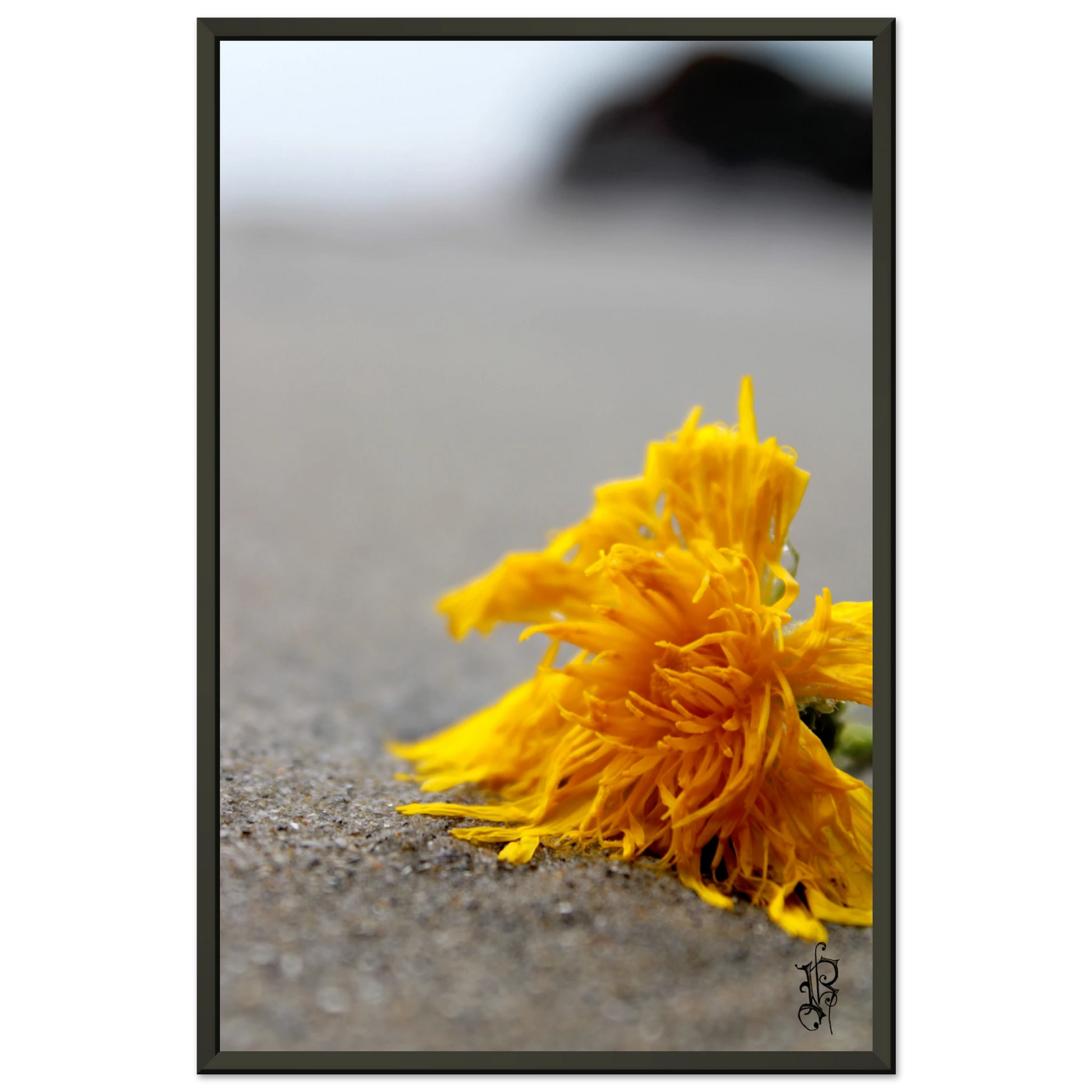 df3354e5-b68e-4e42-b550-1e0a1449b392