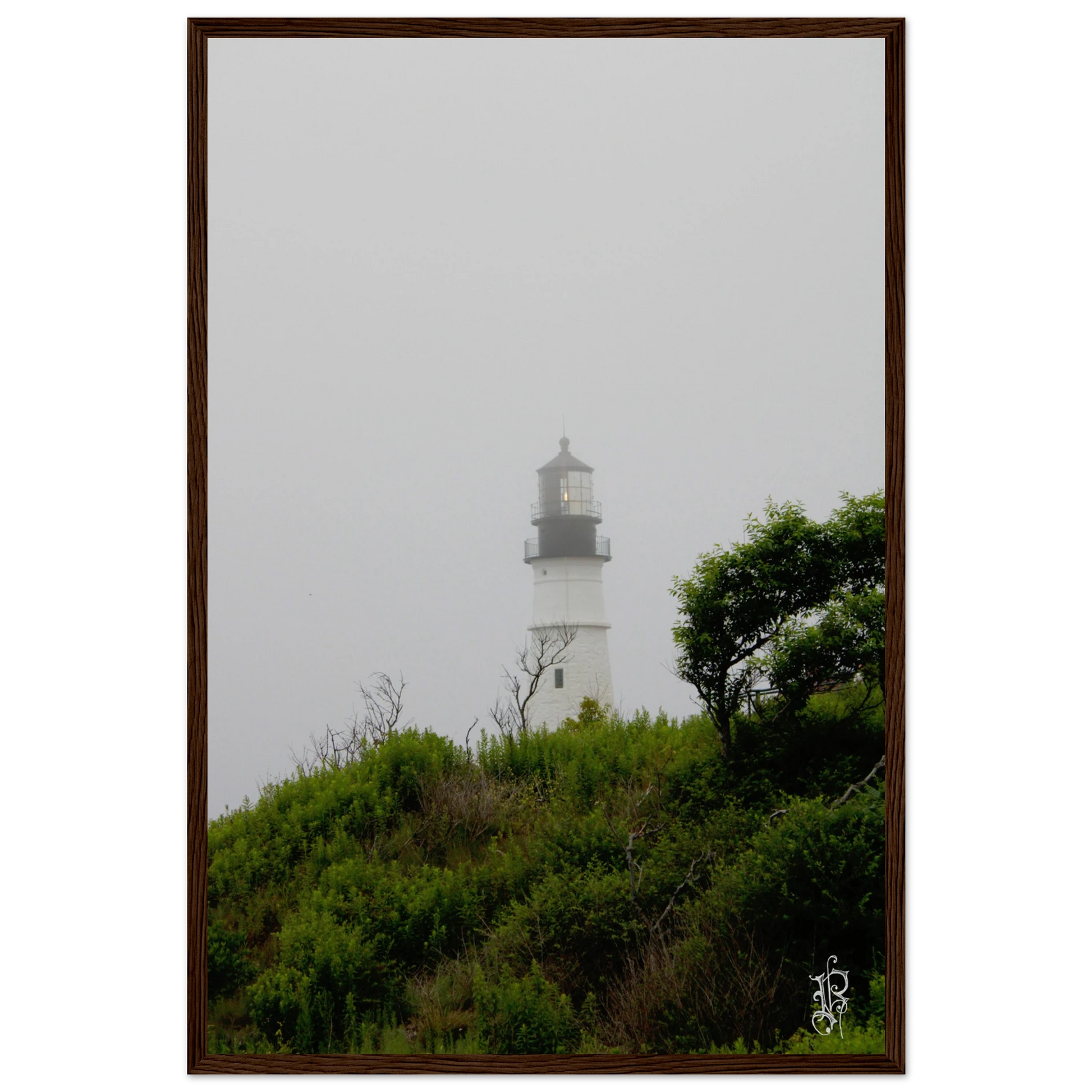 e2766786-4871-48d1-92ae-0eb467b166b2