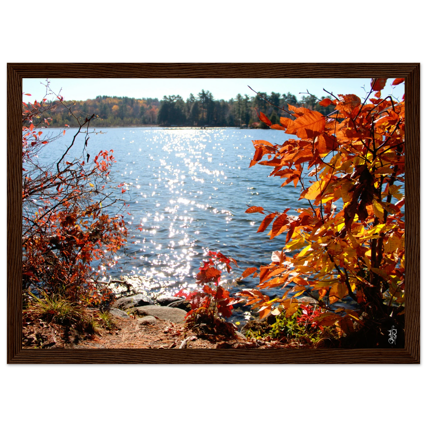 e898fdfa-0171-4b68-b710-880809027ef8