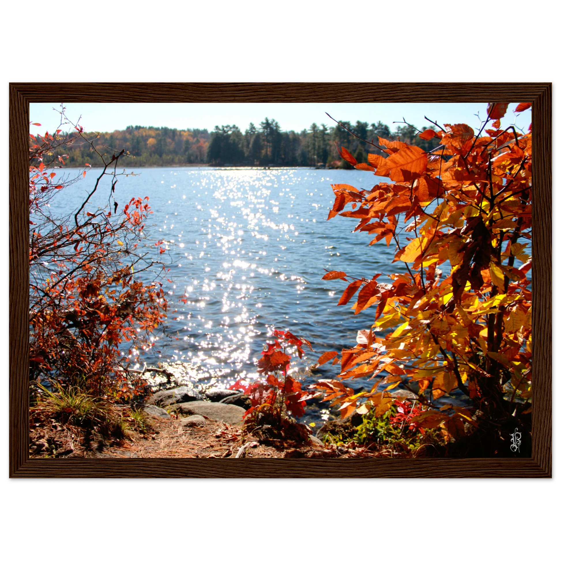 e898fdfa-0171-4b68-b710-880809027ef8