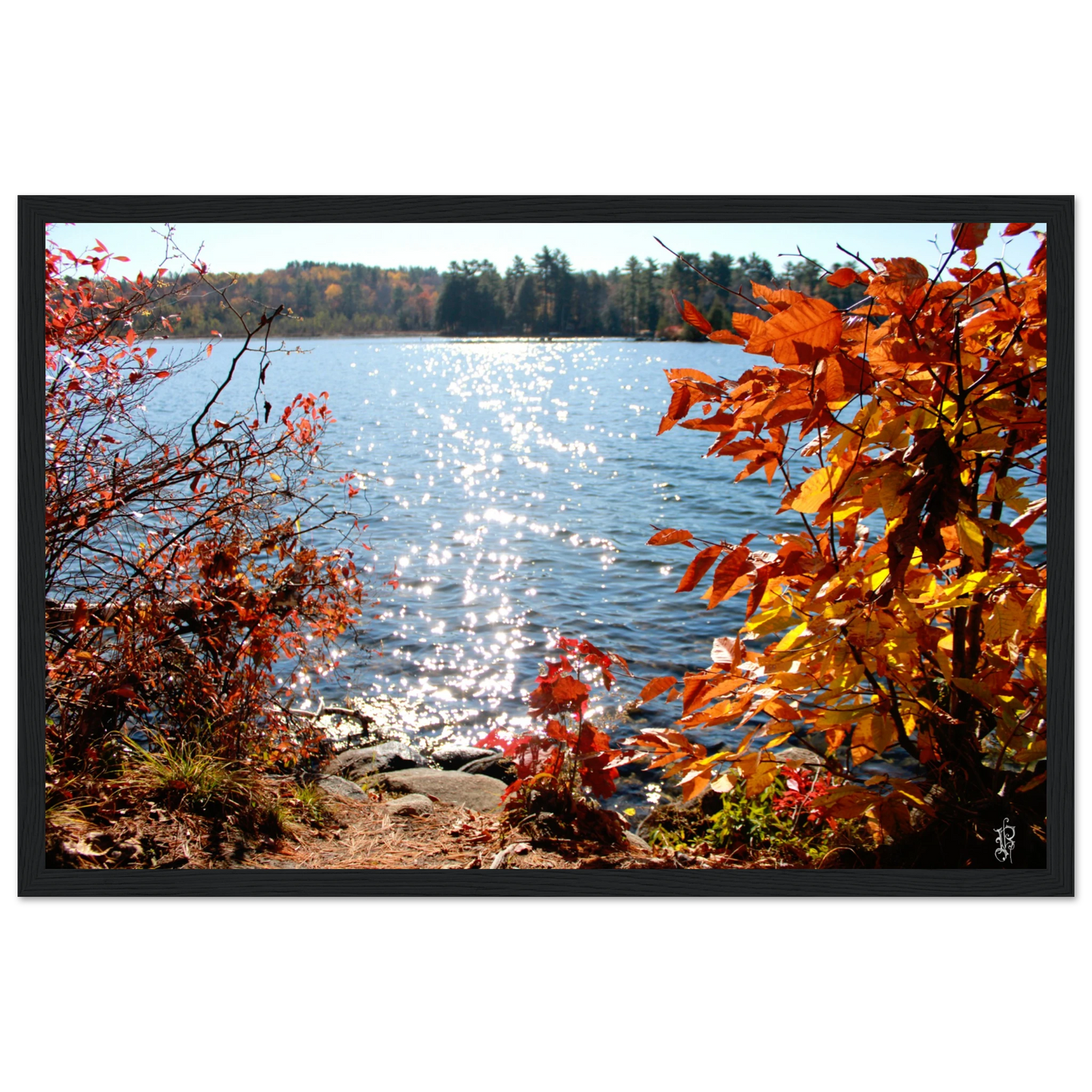 ecfaf26f-cf6b-4fec-941a-2b8be1709e87