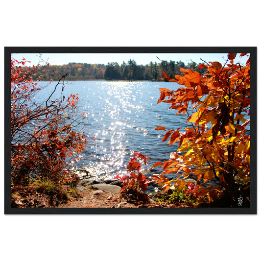 ecfaf26f-cf6b-4fec-941a-2b8be1709e87