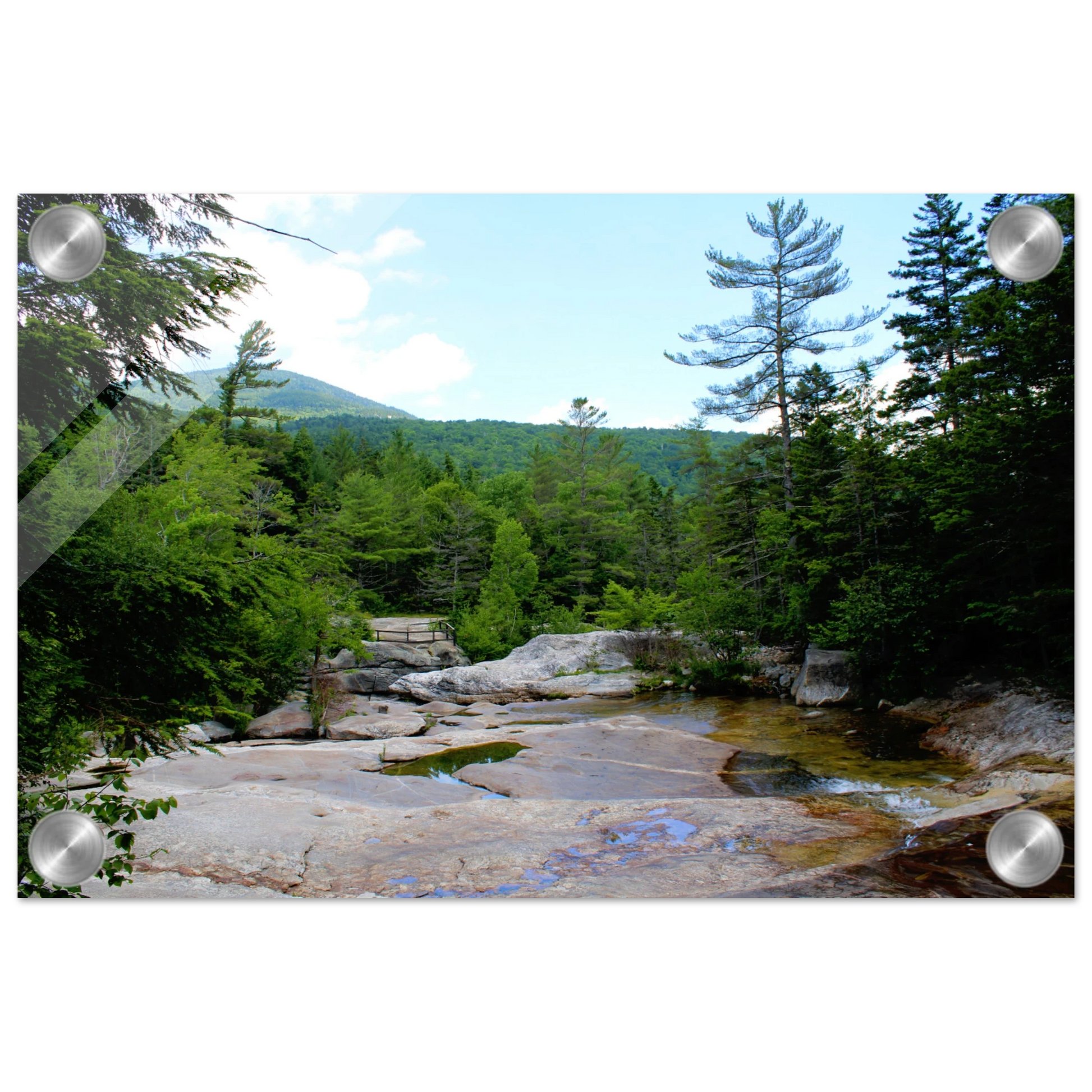 f02a0317-1e95-4a14-a1b0-f97e9f8b332b