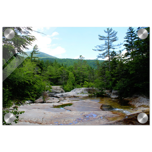 f02a0317-1e95-4a14-a1b0-f97e9f8b332b