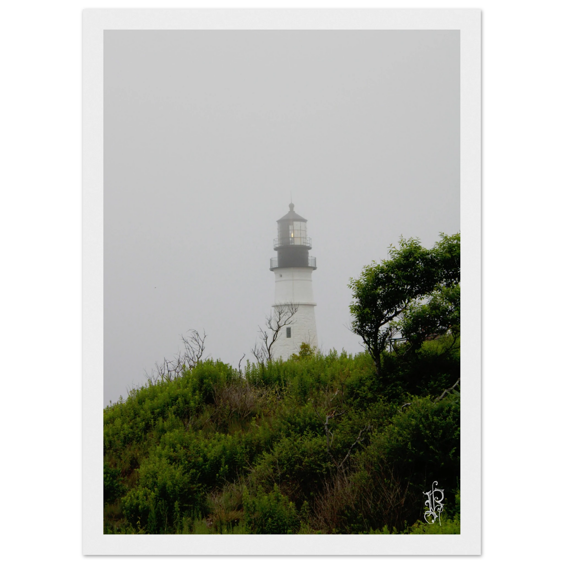 f0965e4d-7527-4a4c-8164-914f3fecb811