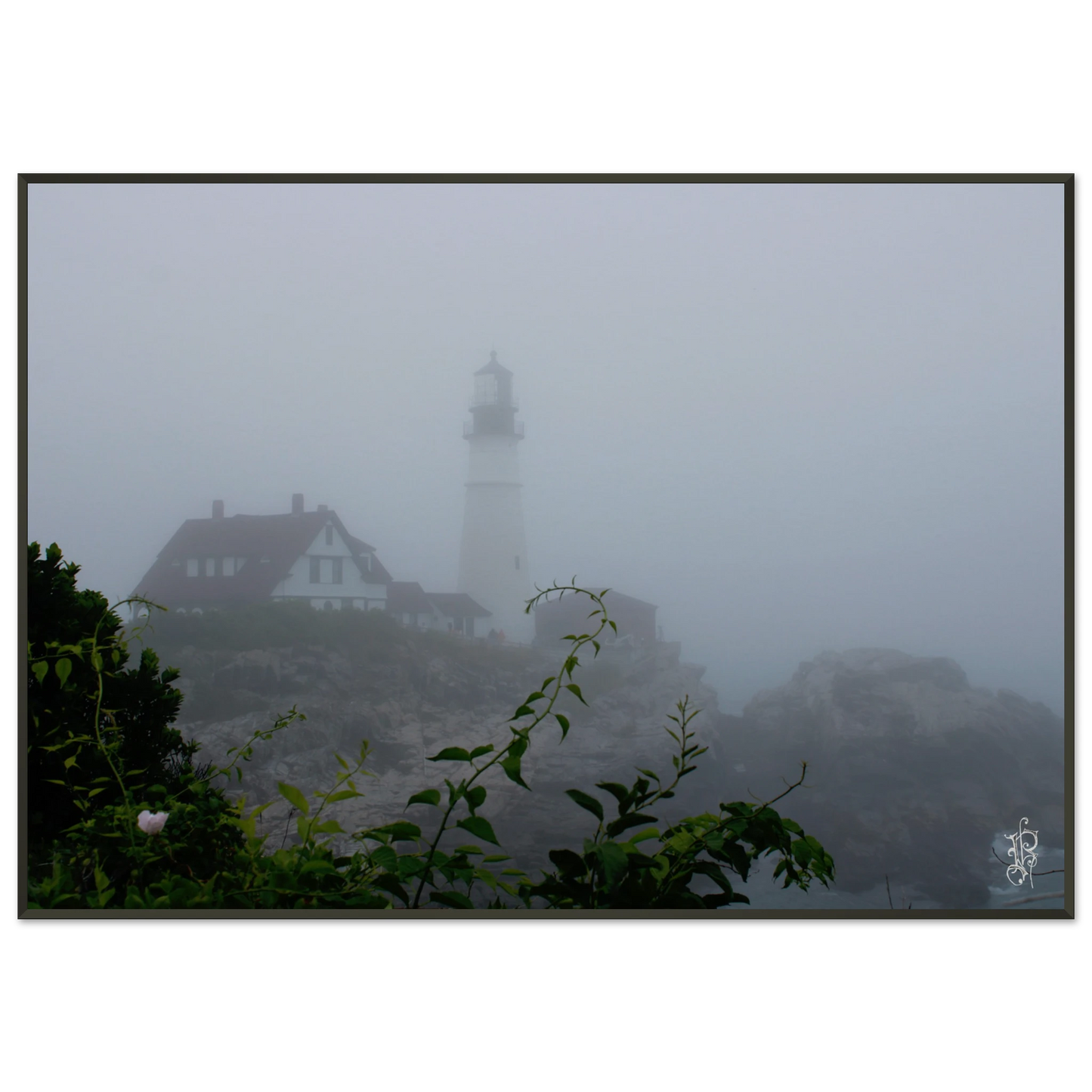 f10e4daf-d575-40f4-ade6-2fe0b300e8a5