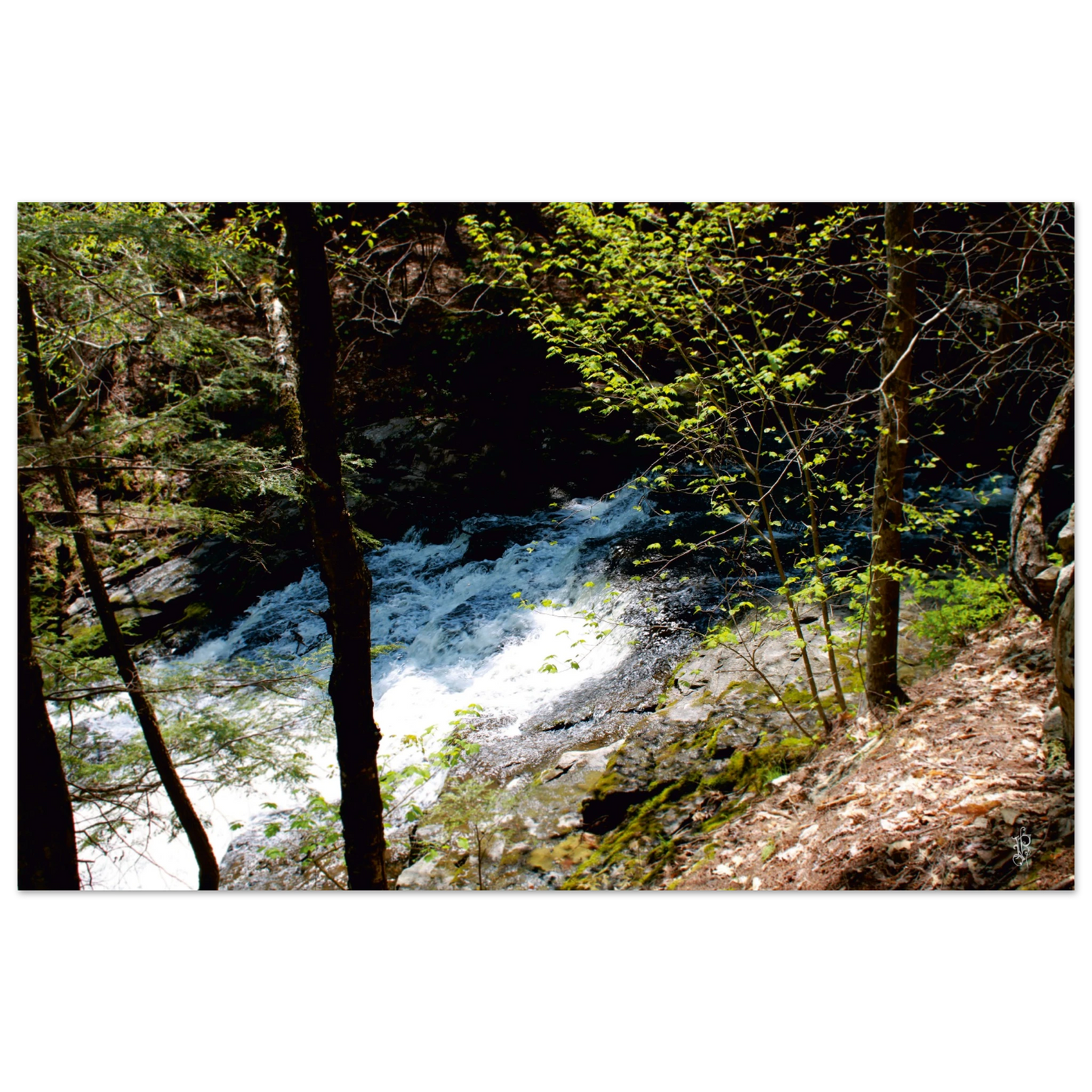 f684175c-0688-469a-b9a8-a3749e551bc5