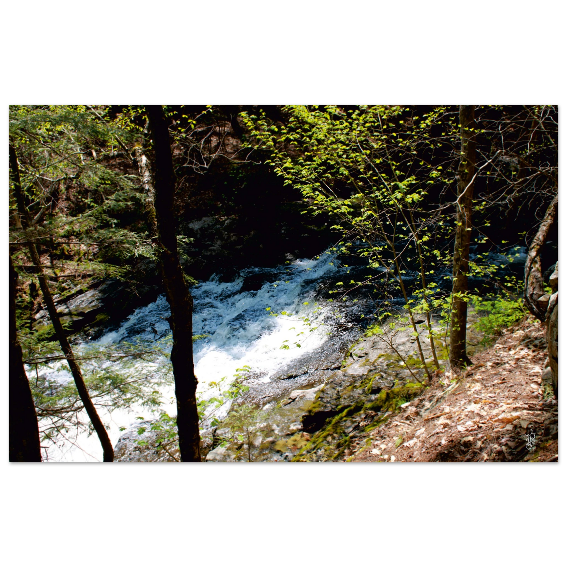 f684175c-0688-469a-b9a8-a3749e551bc5