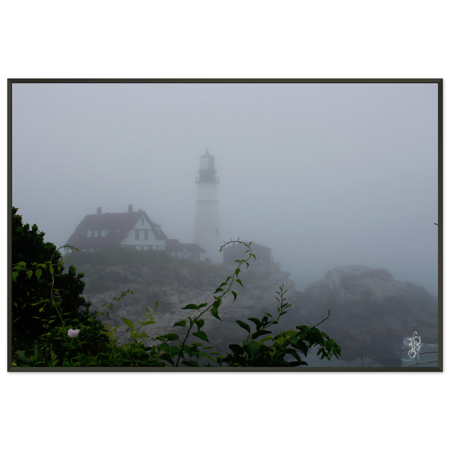 f8262e0b-3971-4eae-8f0b-65925d2a15ba