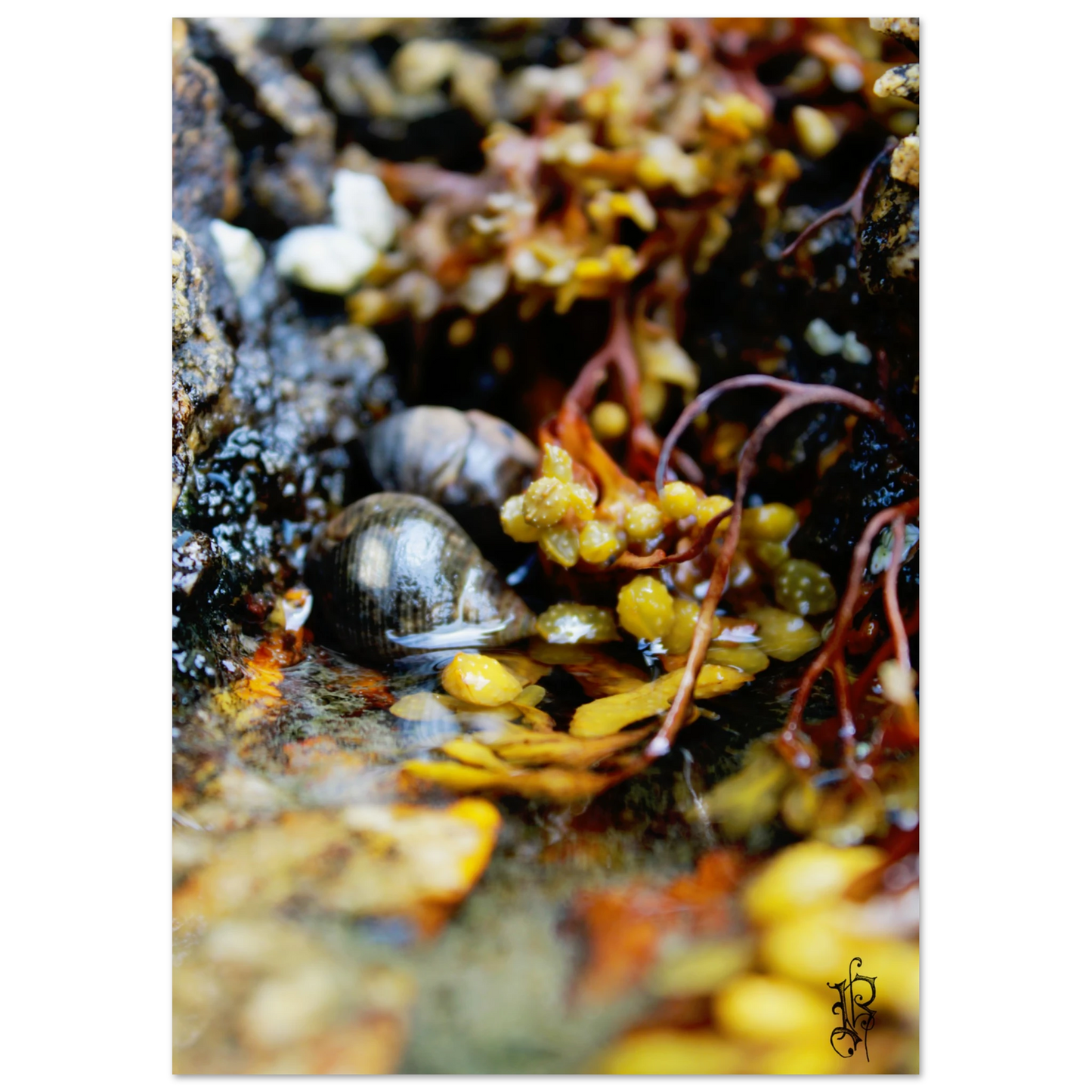 fabfd814-93e6-473e-9bb6-88c6cacb22b0