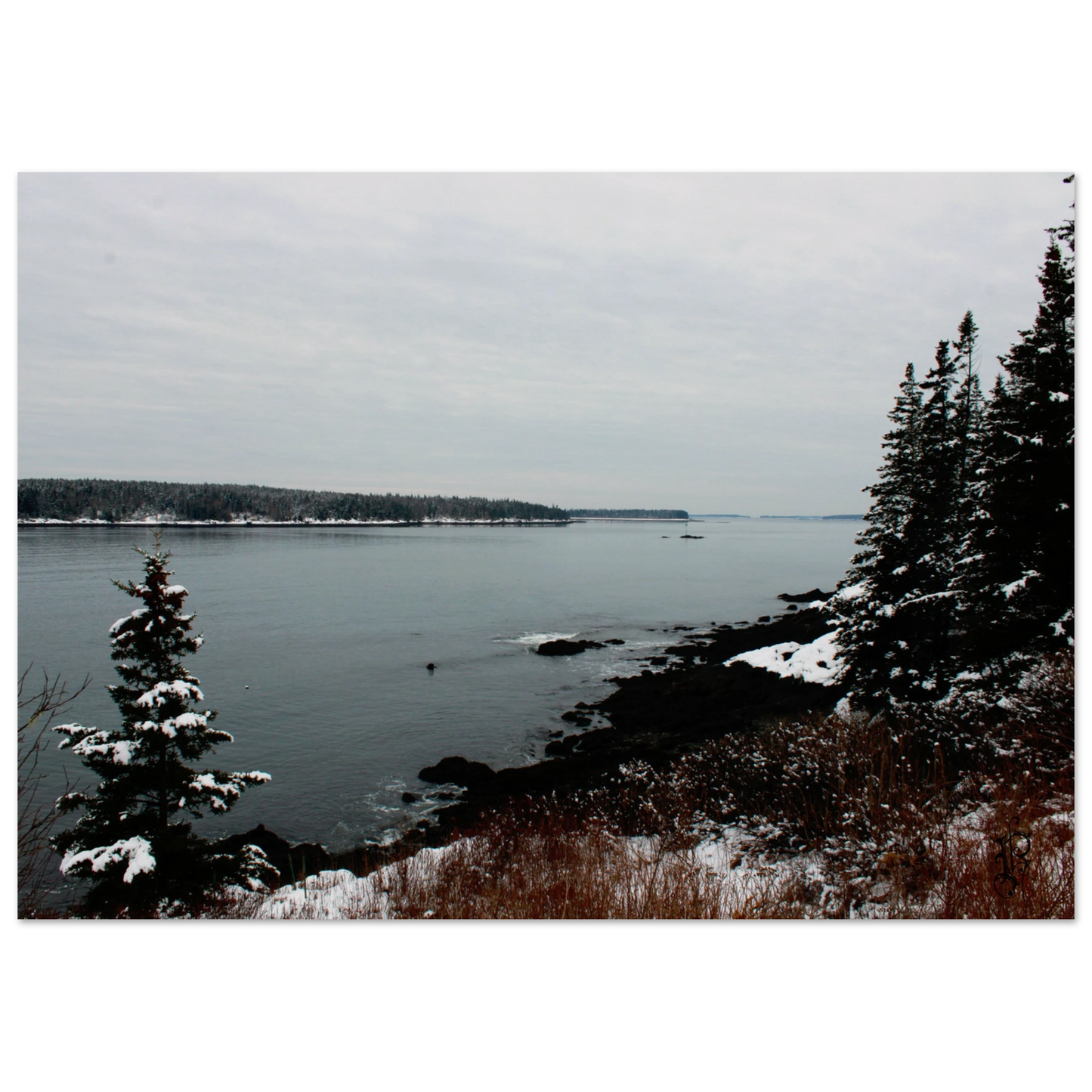 fc89f001-8e15-4451-974e-ff69bed65437