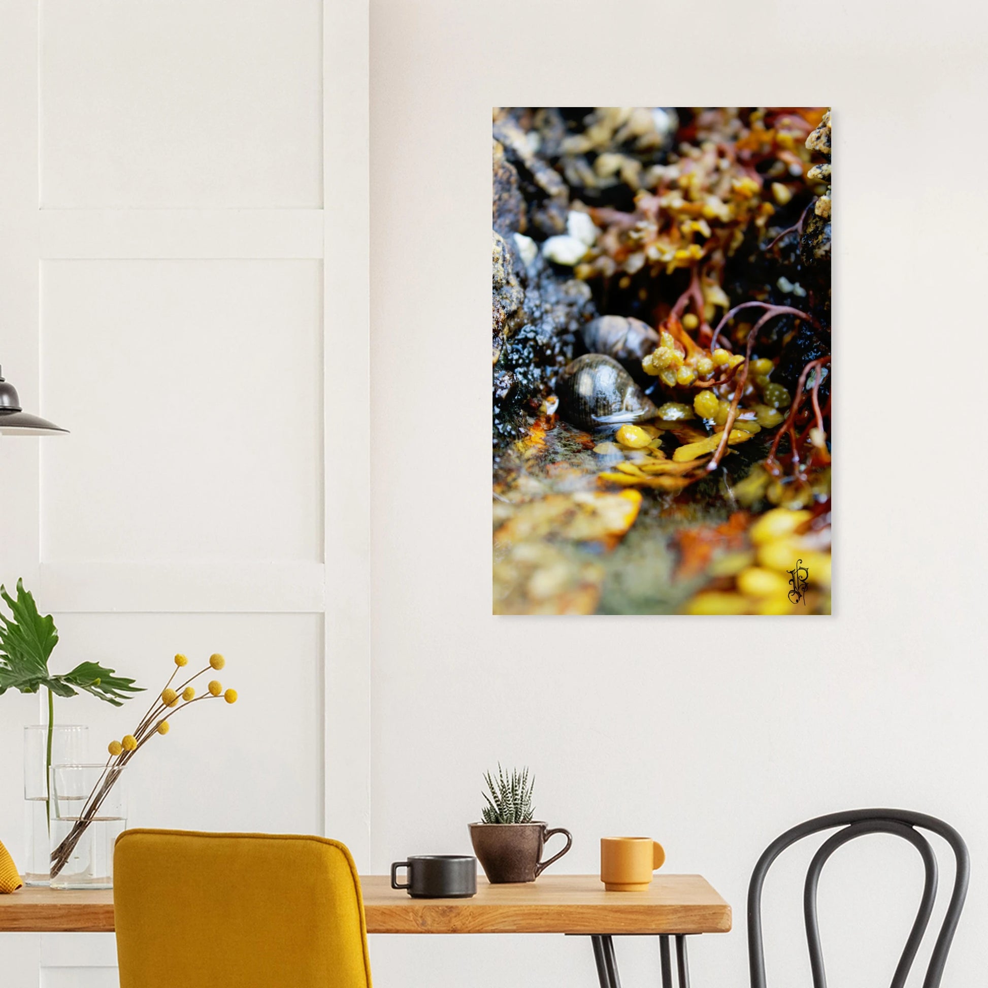 ff1b8b8d-4410-42c2-862f-c1f77a29f354