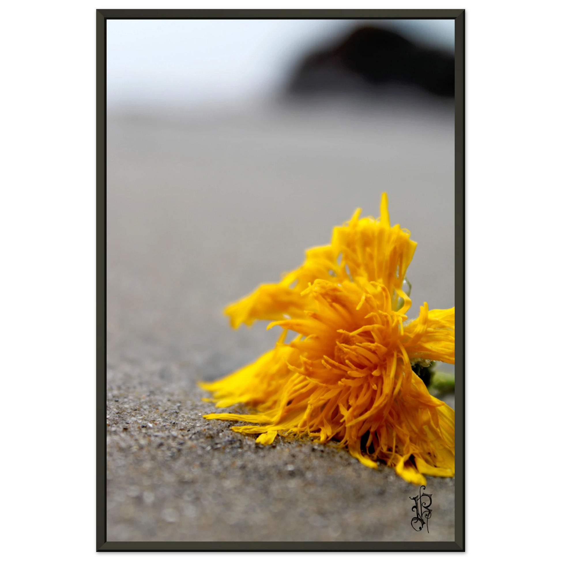 fff9f31a-7c42-4754-a4b4-729b558f4107